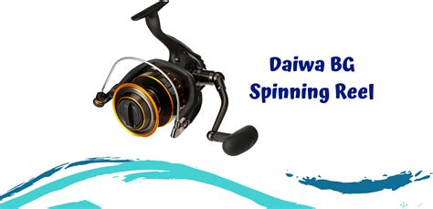 Daiwa Bg Spinning Reel Review Fishing For Sport