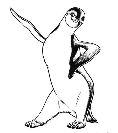 Penguin Template Animal Templates Free And Premium Templates