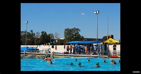 In the Pool | Cal Poly Men's Water Polo Club