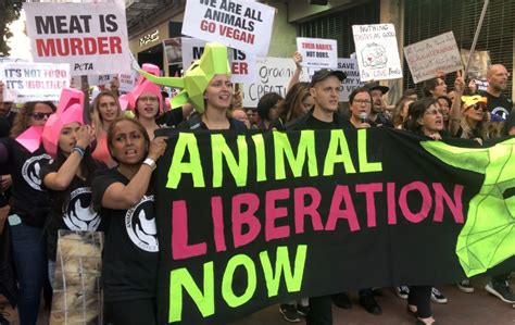 The 2018 Animal Liberation March In San Francisco Their Turn
