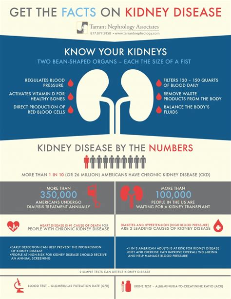 Get The Facts On Kidney Disease