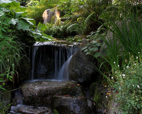 Free Images Tree Nature Forest Rock Waterfall