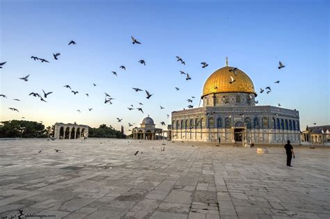 عاجل، أخبار، صحافة، فلسطين، القدس، الخليج، العرب، جديد دنيا الوطن العربي وفلسطين الآن وكل يوم، سما الإخبارية palestine press news gulf | الرئيسية. صور القدس 2018 اجمل صور مكتوب عليها القدس عربية - احلى صور