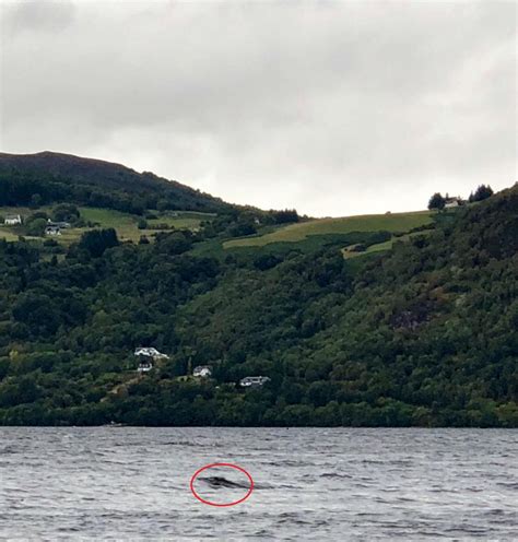 Loch ness is a large, deep, freshwater loch in the scottish highlands and is one of the most visited locations in scotland. LOCH NESS MONSTER: Latest Nessie Photograph
