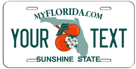 Personalized Custom Florida Vanity License Plate Auto Tag Ebay