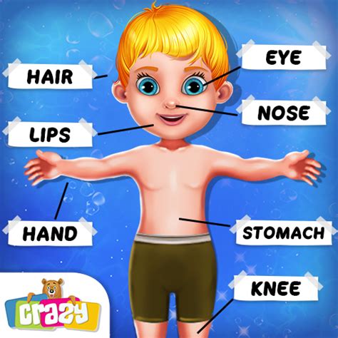 Kids Human Body Parts Learning Gameamazonitappstore For Android