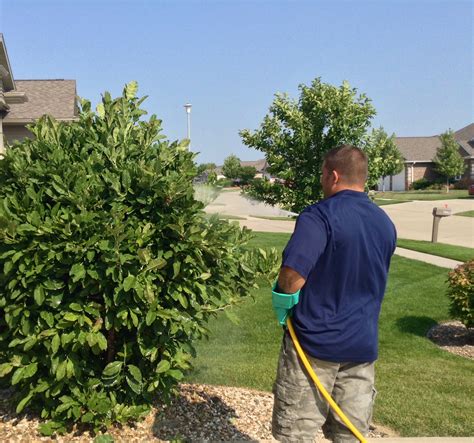 Let quality pest control take care of your pesky problems in marion, iowa. Benefits of Mosquito Repellent Fogging Cedar Rapids & Iowa ...