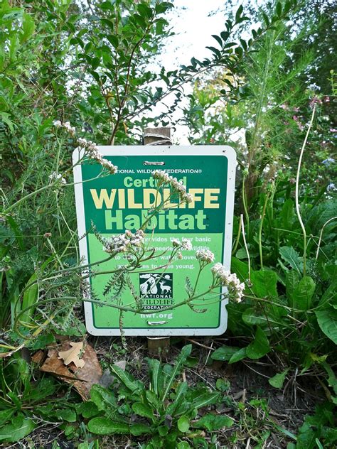 Certified Wildlife Habitat National Wildlife Federation Ce Flickr