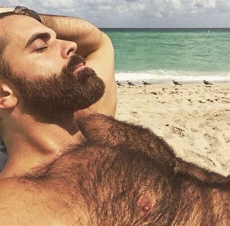Photo Offensively Hairy Muscly Men Page 63 Lpsg