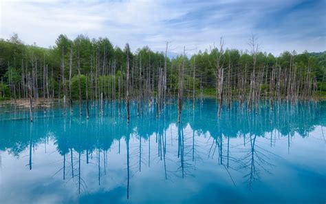 Japan Hokkaido Blue Pond Water Reflection Trees Blue Sky Wallpaper