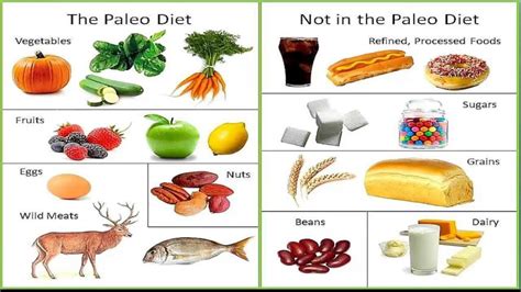 Paleo Diet What Is It And Should You Try It Level 9 Personal Training