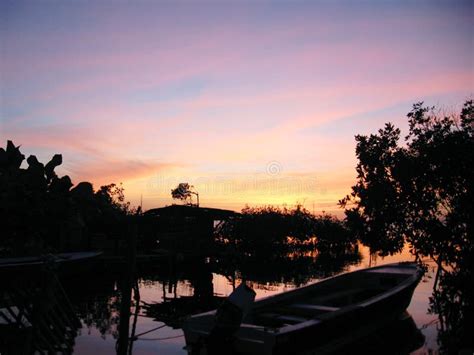 Sunrise On Tropical Island Stock Image Image Of Mangrove 45216327