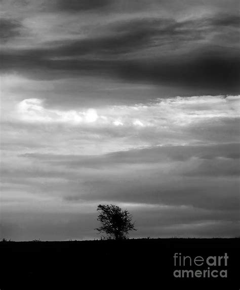 Loneliness Photograph By James Thorne Fine Art America