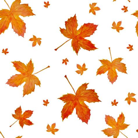 Seamless Watercolor Autumn Leaves Pattern Stock Photos Pictures