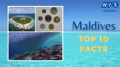 Top 10 Facts About Maldives Youtube