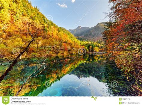 Amazing View Of Autumn Forest Reflected In The Five Flower Lake Stock