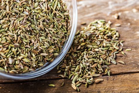 Yes, sesame seeds are generally considered to be safe for dogs to eat. Can dogs eat fennel? (Yes! It's a Superfood) - DogCareLife