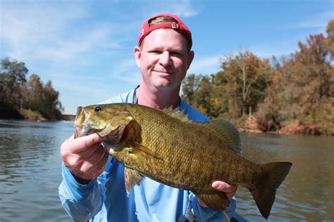 Fish South Carolinas Broad River For Great Summer Smallmouth Bass Action