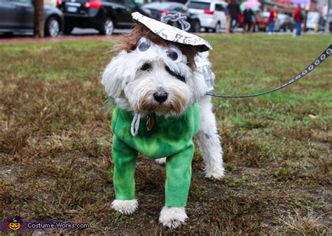 Oscar The Grouch Dog Costume Mind Blowing Diy Costumes Photo 34