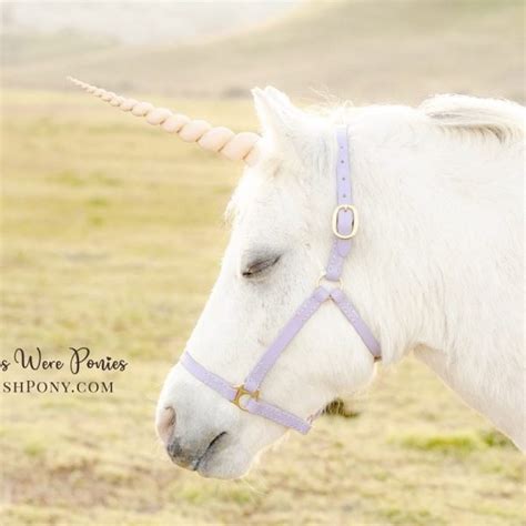 Realistic And Professional Unicorn Horns For Horses And Ponies