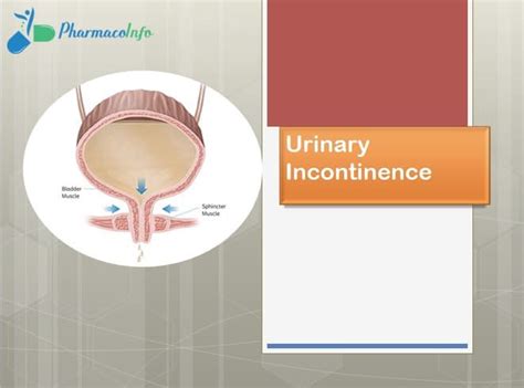Urinary Incontinence Definition Classification Risk Factors Diagnosis Symptoms Treatment