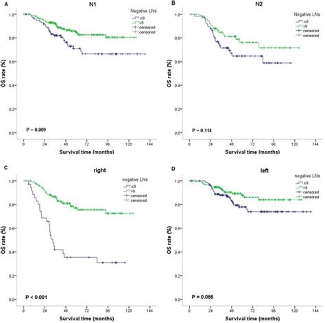 Positive Impact Of The Negative Lymph Node Count On The Survival Rate