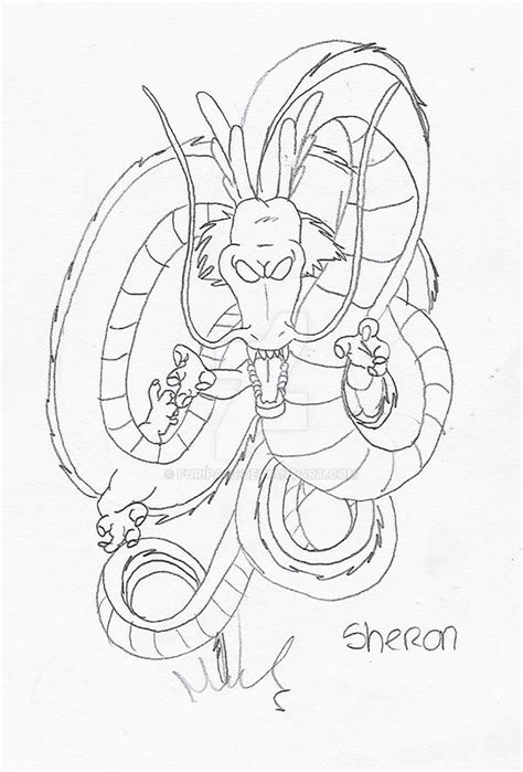 Drawing Shenron Coloring Pages Dbz Dragonball Vegeta Getdrawings Sketch