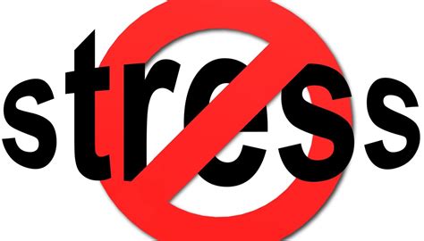 Stress as a Potential Driver for MASLD?