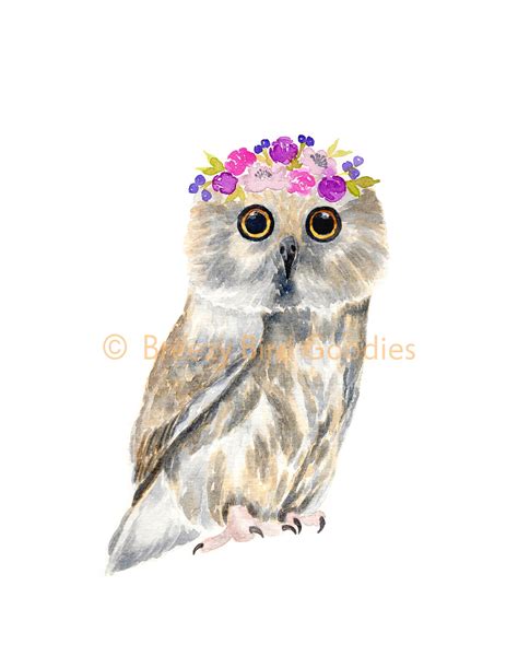 Baby Owl Print Watercolor Saw Whet Owl Bird Print