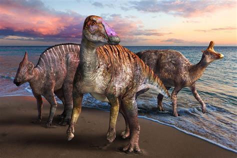 13 Types Of Duck Billed Dinosaurs That You Should Know