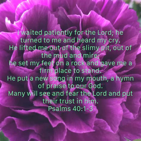 Psalms I Waited Patiently For The Lord He Turned To Me And