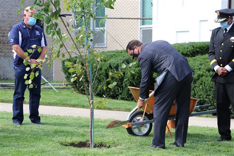 911 Survivor Tree Planted At Sheriffs Department In