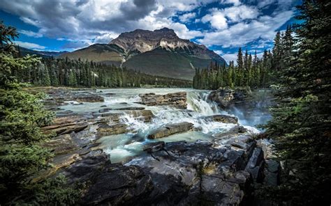 Download Wallpapers Athabasca Falls Canadian Rockies Athabasca River