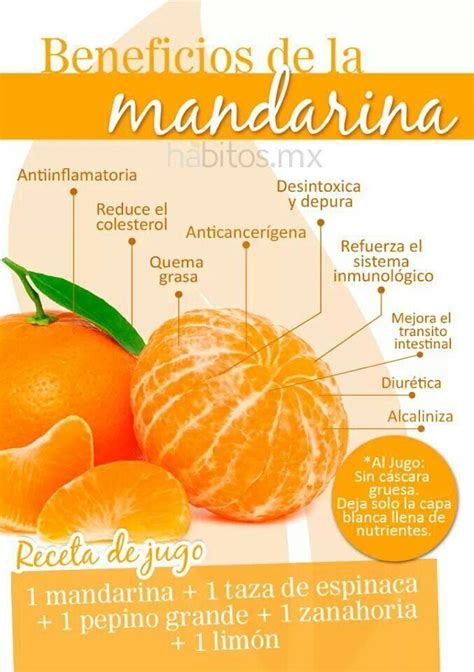Propiedades De La Mandarina Frutas Y Verduras Beneficios Beneficios