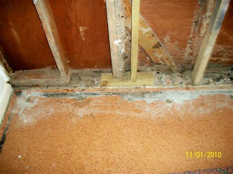 Check spelling or type a new query. South Jersey Termite Damage Repair | South Jersey Termite ...