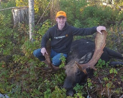 Maine Moose Hunting In Zones 10 14 And 9