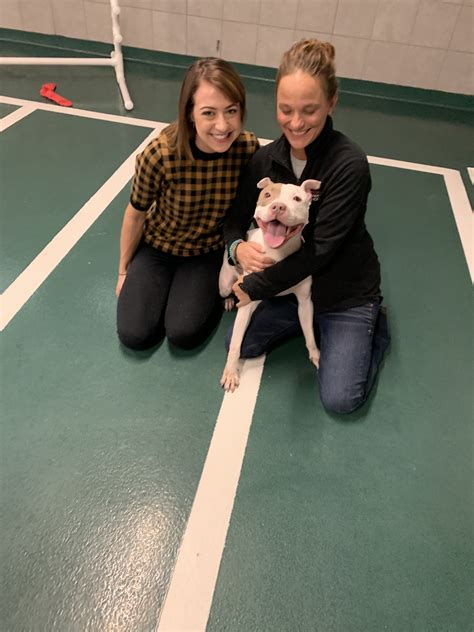 Hinsdale Humane Society | HBK Engineering