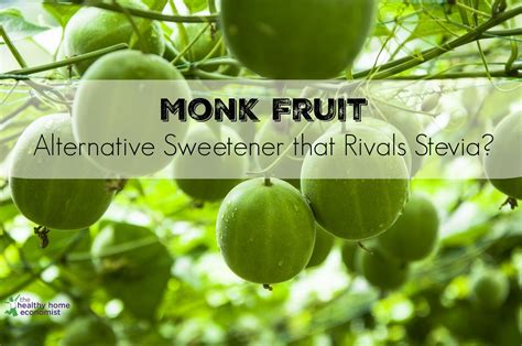 Monk fruit sweeteners have been gaining popularity in recent years. Monk Fruit: Alternative Sweetener that Rivals Stevia ...
