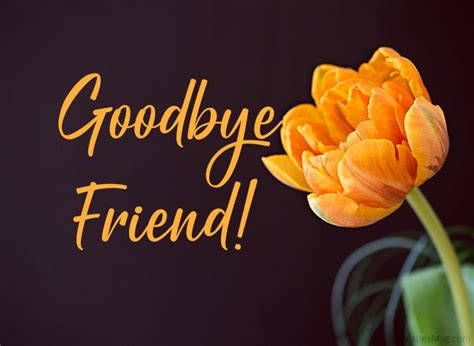100 Farewell Messages For Friend Goodbye Quotes