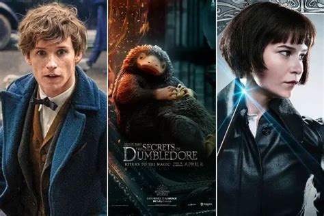 Fantastic Beasts Movies In Order Timeline With Harry Potter Explained