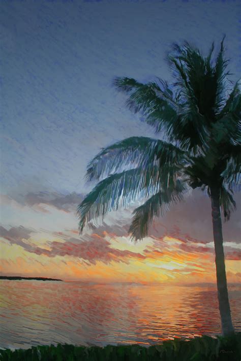 Key Largo Sunset Digital Art By Mike Darrah