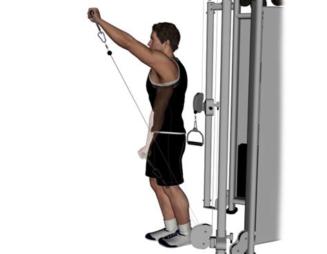 Maybe you would like to learn more about one of these? Cable Front Deltoid Raise • Bodybuilding Wizard