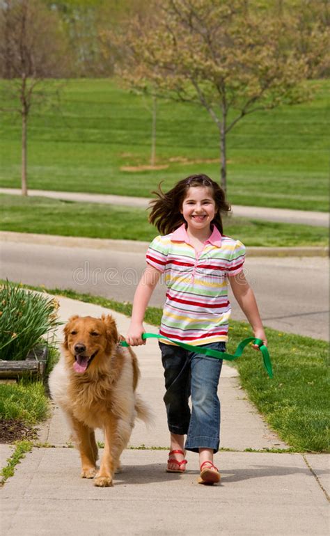 Little Girl Walking Dog Stock Photo Image Of Friendship 5121590