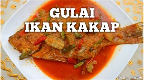 Balur ikan dengan air jeruk nipis, diamkan selama kurang. Resep Gulai Telur Ikan Kakap : Resep Gulai / Kari Telur ...