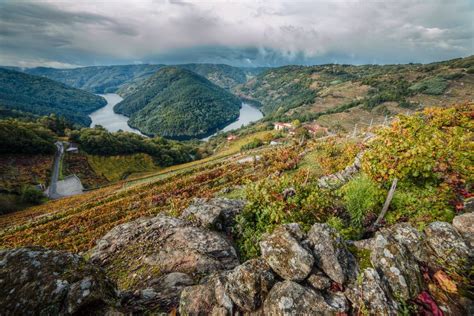 Trending Destinations For White Wine Lovers Luvafoodie