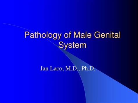 Ppt Pathology Of Male Genital System Powerpoint Presentation Free