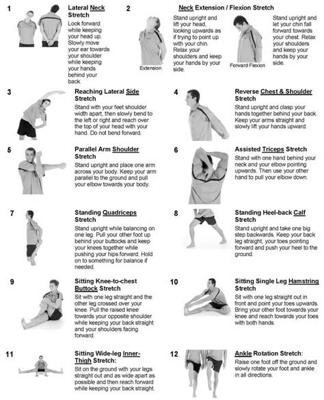 Dont Forget To Stretch Before And After Exercise Stretching