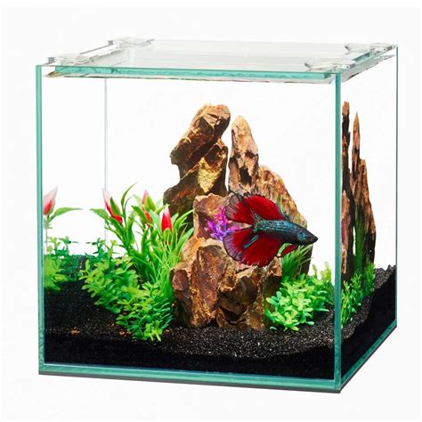 Aqueon Frameless Tank Cube Size 6 With Top The Fish Room