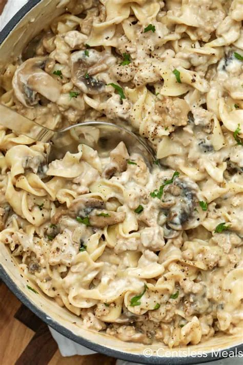 15 Ways How To Make Perfect Beef Stroganoff Recipe With Cream Of Mushroom Soup How To Make