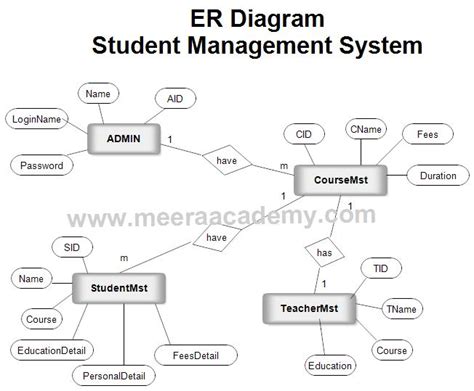 Er Diagram College Database Management System Steve